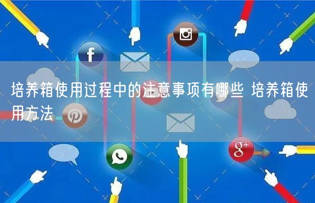 培養(yǎng)箱使用過(guò)程中的注意事項(xiàng)有哪些 培養(yǎng)箱使用方法(圖1) 培養(yǎng)箱使用過(guò)程中的注意事項(xiàng)有哪些 培養(yǎng)箱使用方法(圖1)